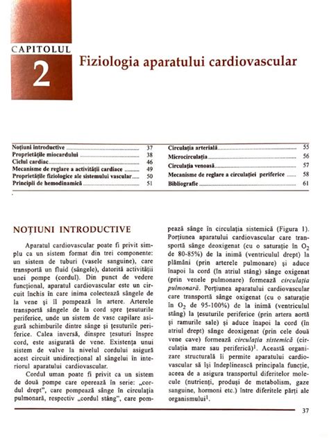 Infografic cu principalele modificări fiziologice ale aparatului cardiovascular în sarcină: creșterea volumului sanguin, a debitului cardiac și modificări ale tensiunii arteriale.