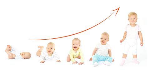 Ilustrație schematică a etapelor de dezvoltare ale copilului