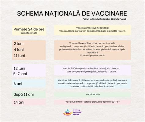 Infografic despre calendarul de vaccinare al copiilor