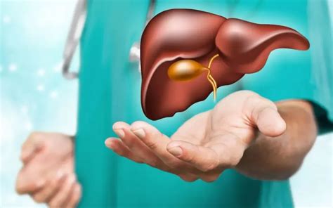 Infografic despre funcțiile ficatului și rolul colecistului în digestie și detoxifiere.