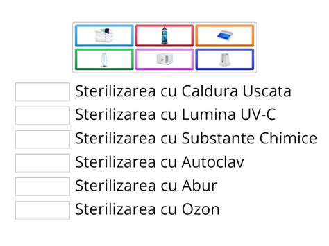 Infografic explicativ despre diferitele tipuri de afecțiuni ginecologice comune.