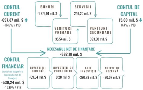 infografic cu organele fetale examinate în trimestrul II