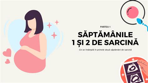 Săptămânile de sarcină în care se simt primele mișcări ale bebelușului