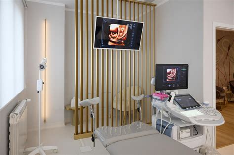 imagine cu ecografie morfologică detaliată a fătului