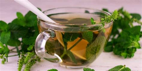 Femeie însărcinată bând ceai de mentă, cu o expresie relaxată.