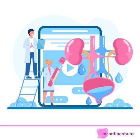 Diagramă care ilustrează fluxul urinar normal versus fluxul blocat de un calcul renal