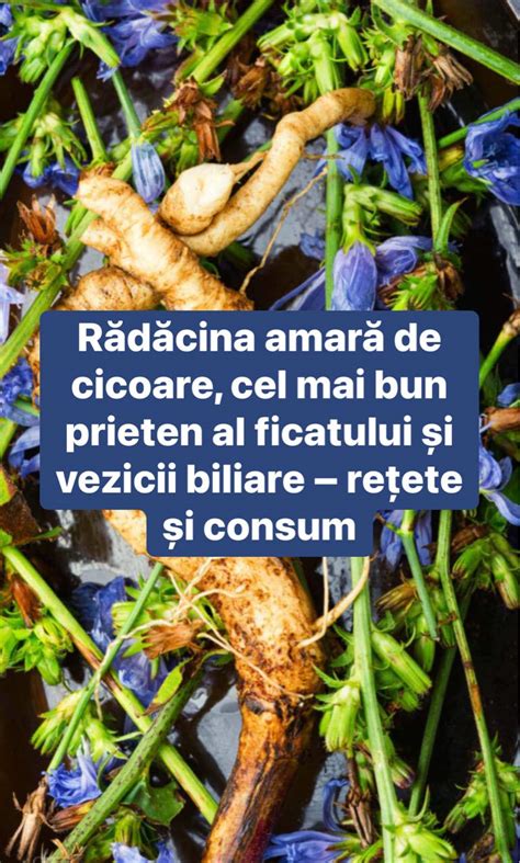 Rădăcini de cicoare prăjite și măcinate, gata pentru prepararea băuturii.