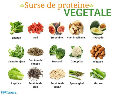 Ilustrație cu diverse surse de proteine pentru bebeluși