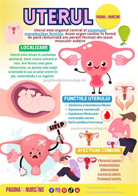 ilustrație medicală a unui cheag de sânge în uterul gravid