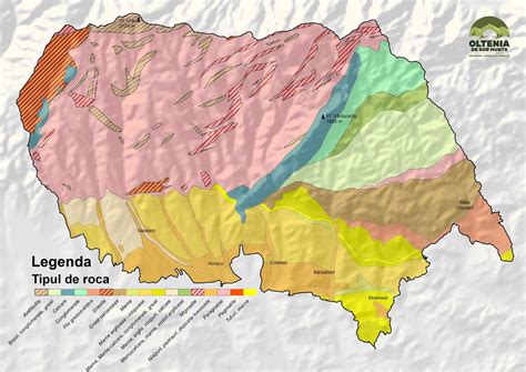 Ilustrație schematică a ecografului transvaginal și a poziționării acestuia.