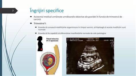 Ilustrație a uterului în trimestrul III de sarcină și presiunea exercitată asupra organelor