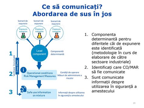 Diagramă care ilustrează diferitele specializări din cadrul pediatriei