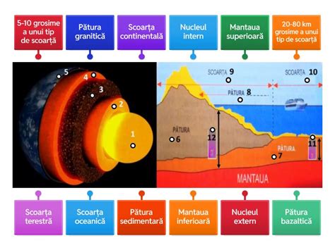 diagramă ilustrând diferite tipuri de abrupție placentară