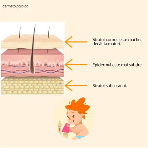 ilustrație cu pielea bebelușului și diferite tipuri de scutece