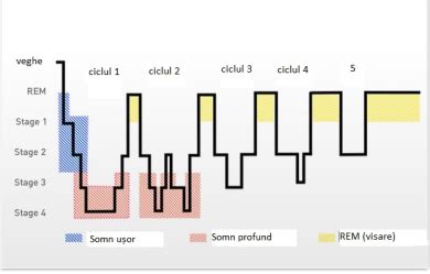grafic cu etapele de dezvoltare ale somnului bebelusului pe luni