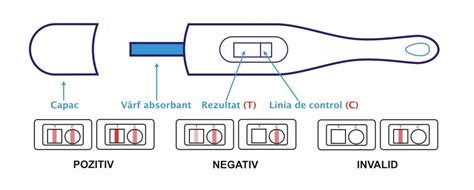 Infografic explicativ despre cum funcționează testul de sarcină și detectarea hormonului hCG.