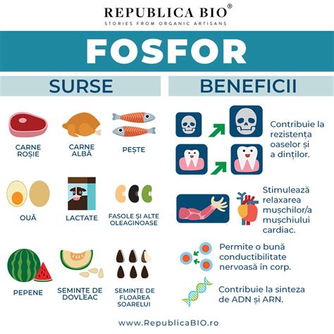Infografic cu exemple de alimente bogate în calorii, potrivite pentru suplimentarea dietei bebelușilor.