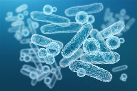 imagini microscopice cu bacterii cauzatoare de amigdalită