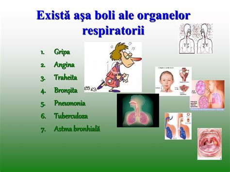 Infografic cu simptomele comune ale bolilor respiratorii la copii.