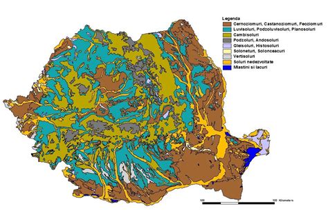 Infografic cu diferite tipuri de soluri din România și caracteristicile lor.