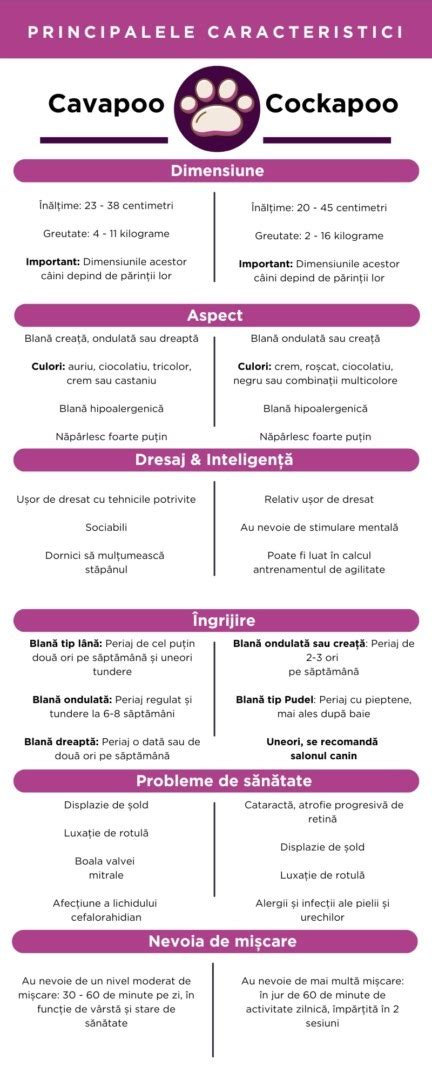 Infografic care prezintă principalele indicații medicale pentru cezariană