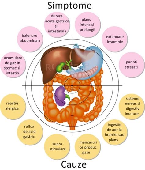 diagramă cu cauzele colicilor