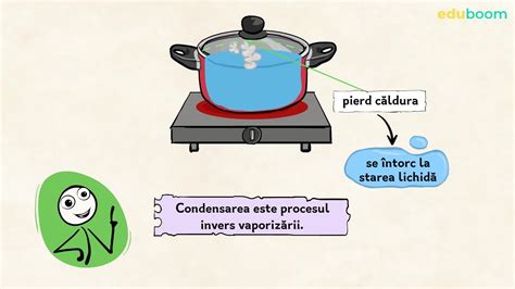Ilustrație stilizată a unui comprimat și a ingredientelor sale