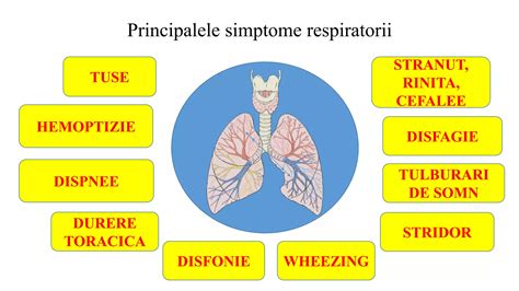 Ilustrație comparativă a sunetelor respiratorii: stridor, wheezing și respirație normală la un sugar.
