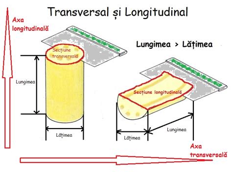 Secțiuni transversale și planuri etajate ale noii aripi a spitalului