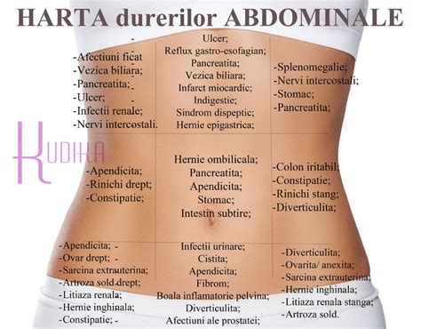 infografic cu organele abdominale și cauzele durerilor în sarcină