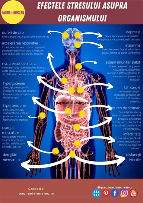 Infografic cu reprezentarea grafică a răspunsului 