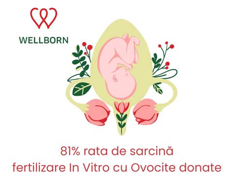 Infografic explicativ despre procesul FIV cu ovule donate