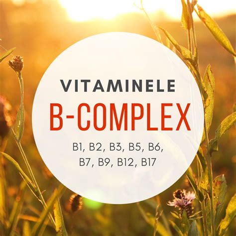 Compoziția nutrițională a drojdiei de bere, evidențiind vitaminele B, proteinele și mineralele esențiale.
