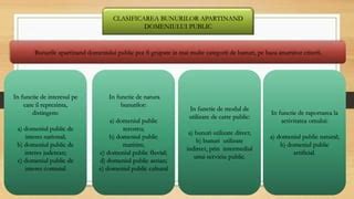 Schema care ilustrează clasificarea bunurilor (mobile și imobile) și a drepturilor reale.