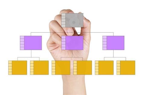Organigrama companiei cu roluri și responsabilități evidențiate