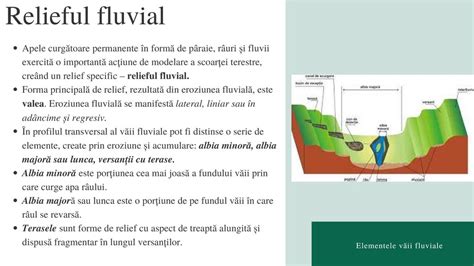 Schemă cu elementele obligatorii ale unei fișe de post