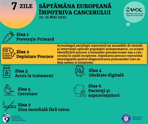 Ilustrație schematică a uterului cu un embrion în stadii incipiente de dezvoltare