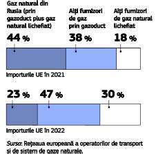 Infografic care prezintă procentajul de avorturi spontane în funcție de săptămâna de gestație, subliniind majoritatea cazurilor înainte de 20 de săptămâni.