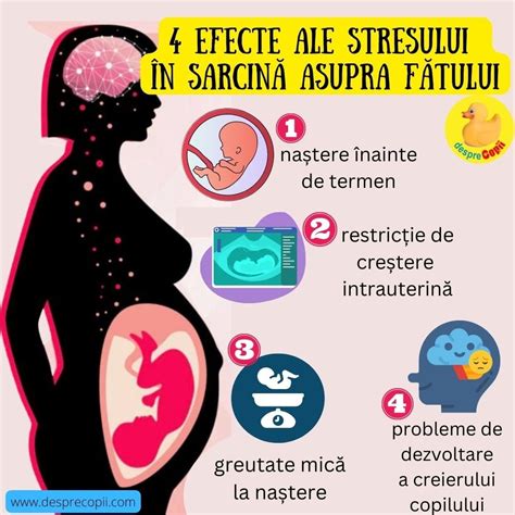 Infografic cu efectele negative ale stresului asupra fertilității