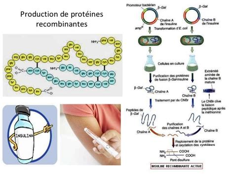 Schema comparativă a diferitelor platforme vaccinale: ARNm, proteine recombinante, vectori virali.