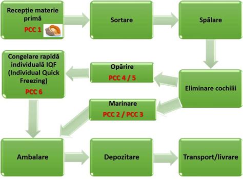 Diagrama fluxului de producție a proteinelor recombinante în E. coli, de la clonare la purificare.