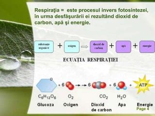 Grafic demonstrând fluxul de aer și protecția UV a plasei