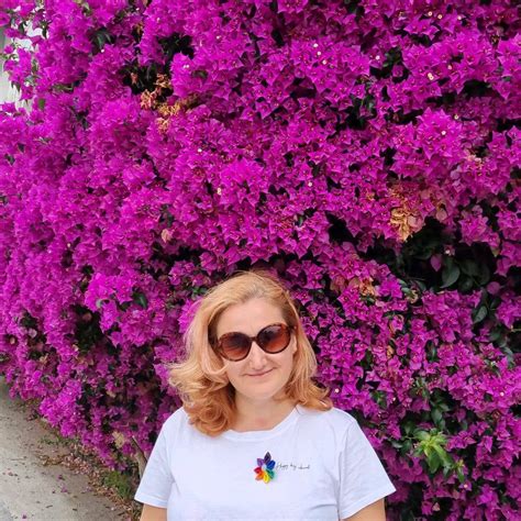 Colaj cu imagini ale plantelor din care se extrag uleiurile esențiale menționate.