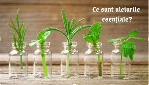 Infografic cu tabelul de diluție a uleiurilor esențiale pentru diferite grupe de vârstă la copii.