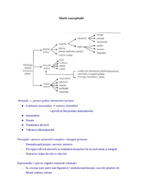 Hartă conceptuală a evenimentelor științifice organizate de Prof. Enescu