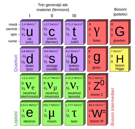 Schema Modelului Standard al fizicii particulelor, arătând fermioni (cuarci și leptoni) și bosoni (mediatorii interacțiunilor)