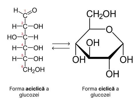 Schema reprezentând structura chimică a glucozei și clasificarea zaharidelor