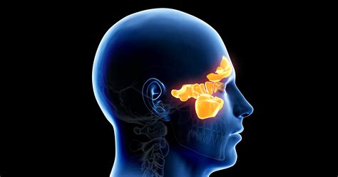 Chirurgie endoscopică sinusală