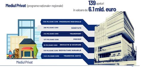 Infografic cu numărul de proiecte și granturi