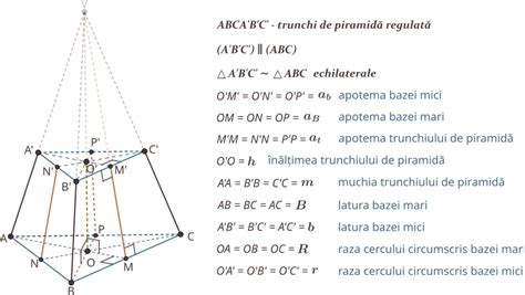 Diagramă cu tipurile de contravenții și sancțiunile asociate conform OUG 96/2003